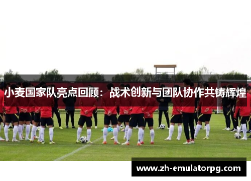 小麦国家队亮点回顾：战术创新与团队协作共铸辉煌